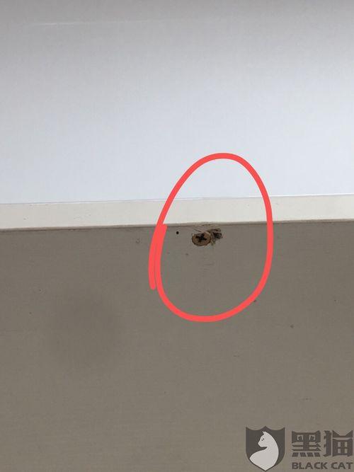 网红电气鼠黑料