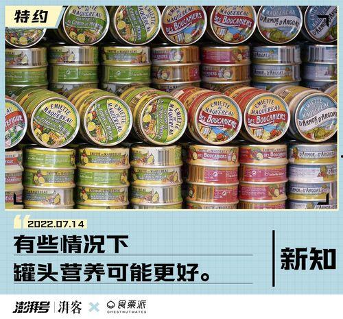 网红电气鼠黑料