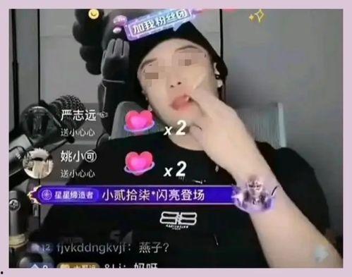 当网红有黑料吗视频播放,当网红背后的真相