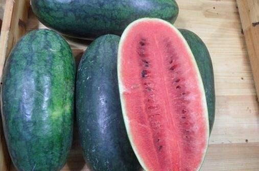 黑吃料吃瓜官网更新了吗,精彩内容不容错过！