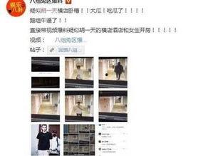 网爆黑料大全视频在线,网爆大全视频深度解析