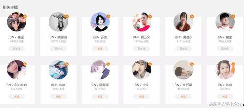 吃瓜qq群网红黑料小说,揭秘吃瓜QQ群网红黑料风云