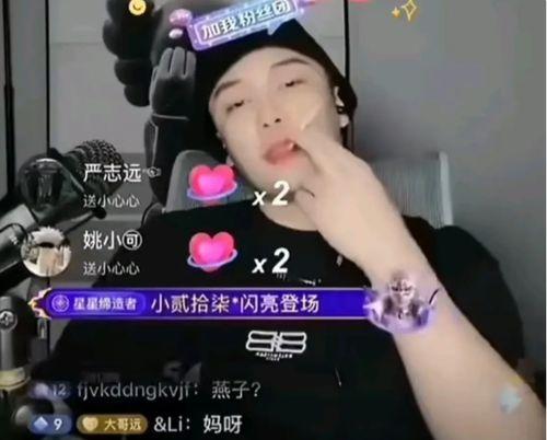 那些网红黑料,网络舆论下的真实与偏见