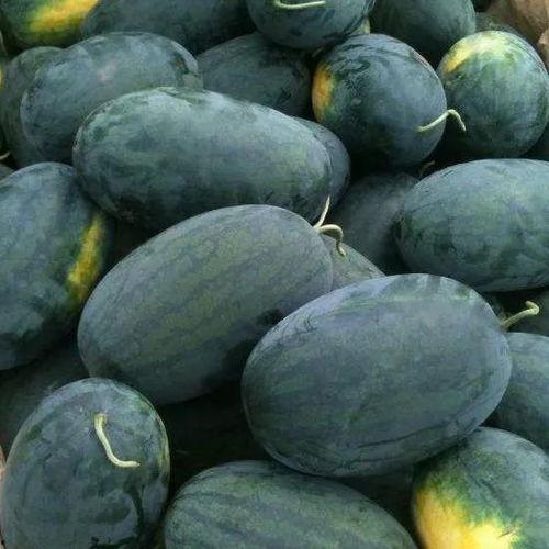 黑料吃黑瓜网违法吗,违法边缘的灰色地带